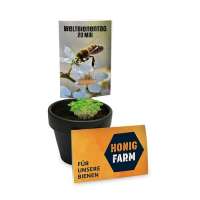 Vorschau: Bienenhelfer-Stick mit Samen Vorschau: Bienenhelfer-Stick mit Samen