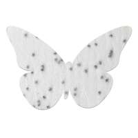 Vorschau: Samenpapier auf A6-Karte - Schmetterling Vorschau: Samenpapier auf A6-Karte - Schmetterling