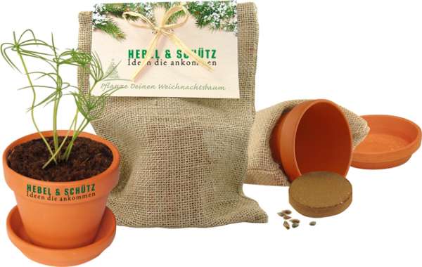 Natur - Säckchen 'Pflanze deinen Baum', Fichte, 1-4 c Digitaldruck inklusive