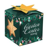 Vorschau: Pflanz-Holz Maxi Star-Box Xmas mit Fichtensamen Vorschau: Pflanz-Holz Maxi Star-Box Xmas mit Fichtensamen