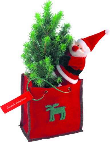 Bäumchen im Filztäschchen 20-30 cm