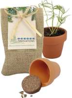 Kleines Natur - Säckchen Pflanze deinen Baum