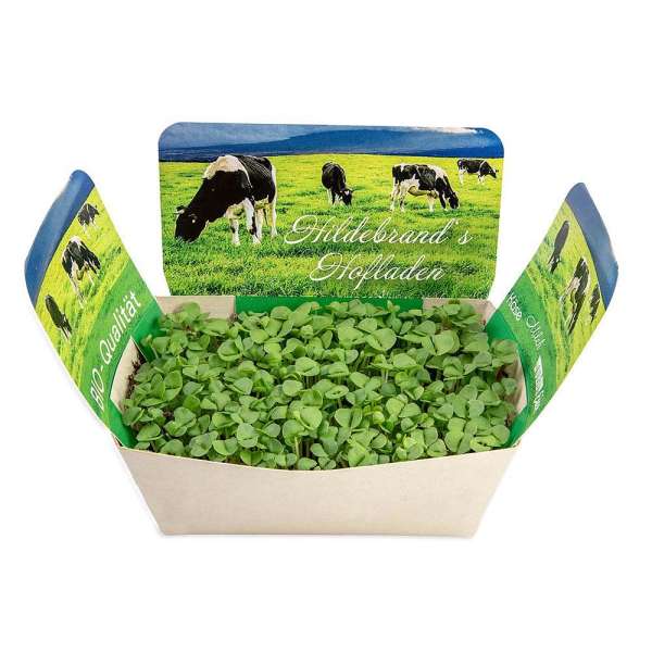 Pflanzodrom mit Samen