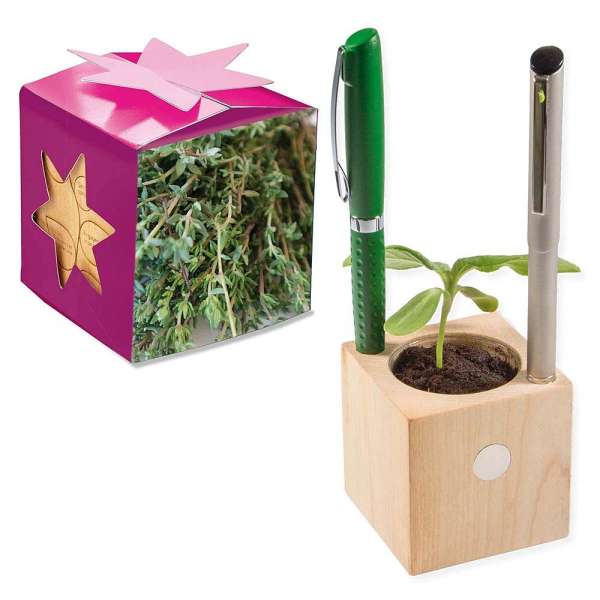 Pflanz-Holz Büro Star-Box mit Samen - Thymian