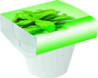 Vorschau: Tontopf Colour Basilikum, Basilikum, 1-4 c Digitaldruck inklusive Vorschau: Tontopf Colour Basilikum, Basilikum, 1-4 c Digitaldruck inklusive