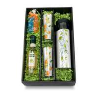 Vorschau: Präsentset Karaffe Frisch & Fruchtig Vorschau: Präsentset Karaffe Frisch & Fruchtig