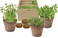 Vorschau: Kokos-Pflanz-Set Italienische Küche, Basilikum, Majoran, Thymian, 1-4 c Digitaldruck inkl Vorschau: Kokos-Pflanz-Set Italienische Küche, Basilikum, Majoran, Thymian, 1-4 c Digitaldruck inkl