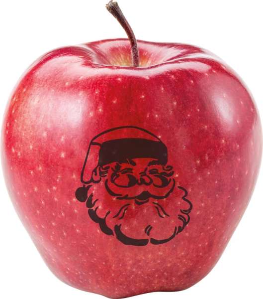 LogoFrucht Apfel Nikolaus