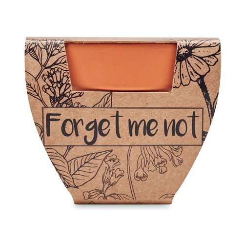 FORGET ME NOT Terracotta-Topf Vergissmeinnich