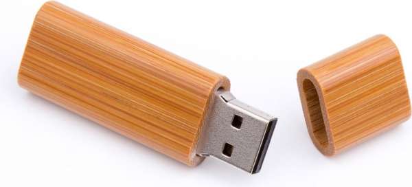 USB Stick Holz Limb