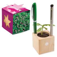 Pflanz-Holz Büro Star-Box mit Samen - Persischer Klee