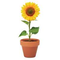 Vorschau: SUNFLOWER Terracotta-Topf Sonnenblume Vorschau: SUNFLOWER Terracotta-Topf Sonnenblume