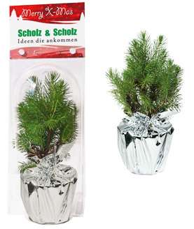 Weihnachtsbäumchen "Junior" in Überreichbox, 1-4 c Digitaldruck inklusive