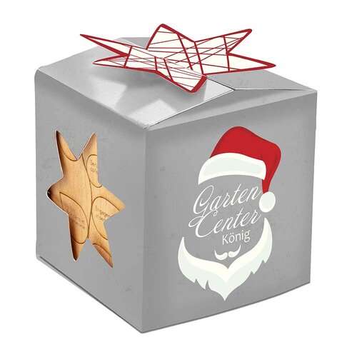 Pflanz-Holz Büro Star-Box Xmas mit Fichtensamen