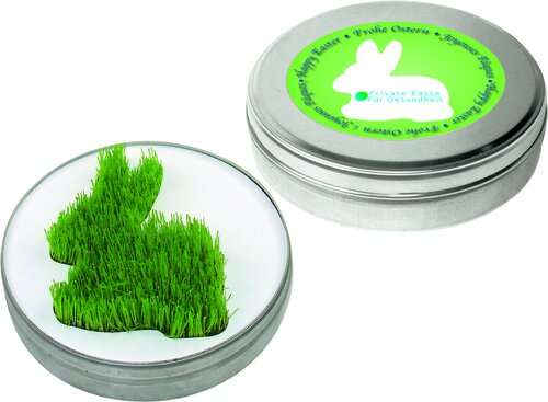 Wachsender Hase aus der Dose