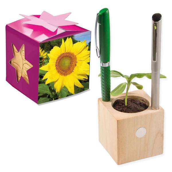 Pflanz-Holz Büro Star-Box mit Samen - Sonnenblume