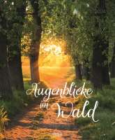 Wandkalender Augenblicke im Wald