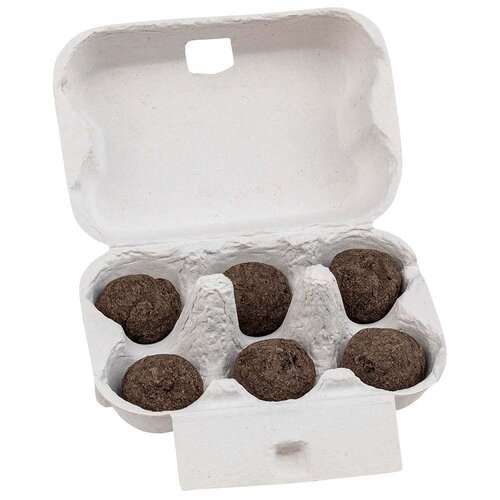 Sixpack - Flower-Balls Midi mit Samen