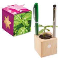 Pflanz-Holz Büro Star-Box Basilikum, ohne Laserung