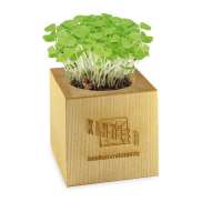 Vorschau: Pflanz-Holz Maxi mit Samen Vorschau: Pflanz-Holz Maxi mit Samen