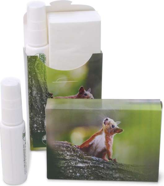 VitaStix® Basic Handreinigungs-Spray