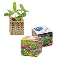 Wellkarton-Pflanzwürfel Mini mit Samen - Sommerblumenmischung