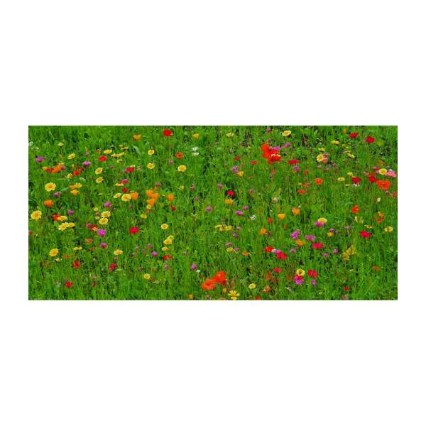 Bienenweide Auf eine blühende Zusammenarbeit