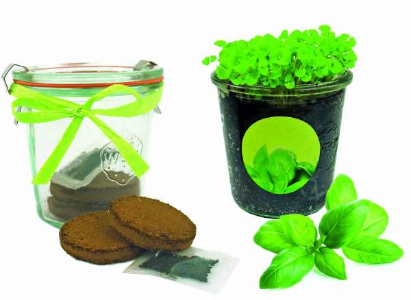 Kräuter-Glas, Basilikum, 1-4 c Digitaldruck inklusive