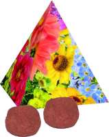 Pyramide Spitzenwachstum