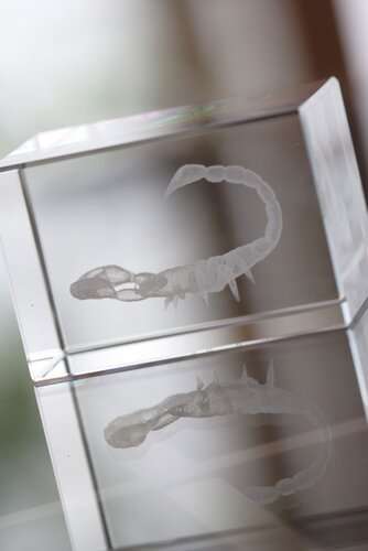 Macon Glas-Quader