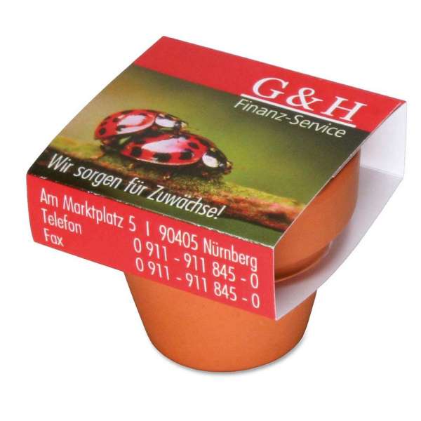 Logo-Topf mit Samen - teracotta - Glücksklee-Zwiebel (* Je nach Verfügbarkeit der Glücksklee-Zwiebe