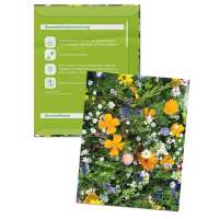Samentütchen Klein - Standardmotiv - Sommerblumenmischung Samentütchen Klein - Standardmotiv - Sommerblumenmischung