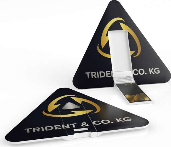 USB Karte Dreieck Express 24h