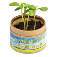 Vorschau: Pflanz-Cup mit Samen - Vergissmeinnicht Vorschau: Pflanz-Cup mit Samen - Vergissmeinnicht