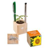 Pflanz-Holz Büro Sonnenblume, 2 Seiten gelasert