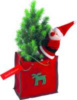 Bäumchen im Filztäschchen 20-30 cm