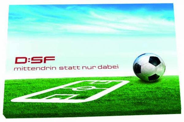 Wachsende Fußball-Arena, Zimmerrasen, 1-4 c Digitaldruck inklusive