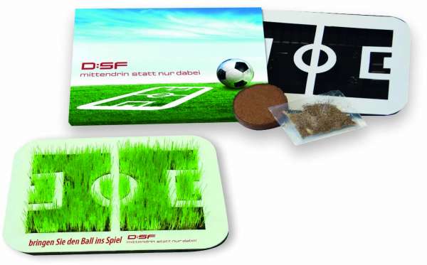 Wachsende Fußball-Arena, Zimmerrasen, 1-4 c Digitaldruck inklusive