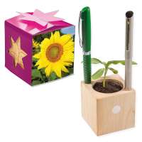 Pflanz-Holz Büro Star-Box mit Samen - Sonnenblume, 1 Seite gelasert