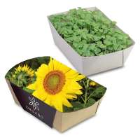 Pflanz-Schale mit Samen - Sonnenblume individuell
