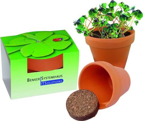 Tontöpfchen Glücksklee