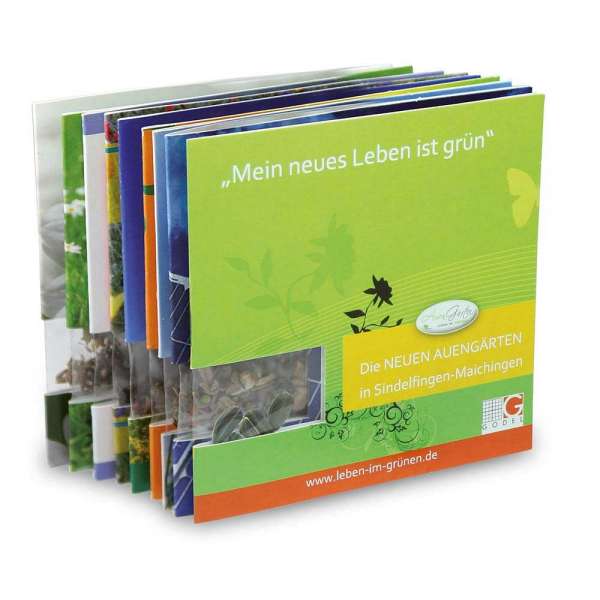 Samen-Karte - Fichte