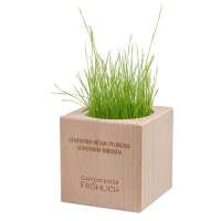 Vorschau: Pflanz-Holz Grande mit Samen Vorschau: Pflanz-Holz Grande mit Samen