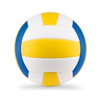 VOLLEY Volleyball