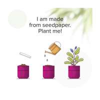 Vorschau: Seed Paper Festival Wristband Festivalband Vorschau: Seed Paper Festival Wristband Festivalband