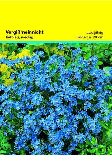 Samentütchen Vergissmeinnicht 82 x 114 mm