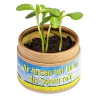 Vorschau: Pflanz-Cup mit Samen Vorschau: Pflanz-Cup mit Samen