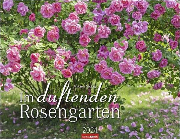 Wandkalender - Im duftenden Rosengarten