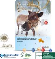 Wand-Adventskalender Lindt Gourmet Edition