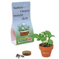 Logo-Töpfchen Übereichverpackung Vergissmeinnicht